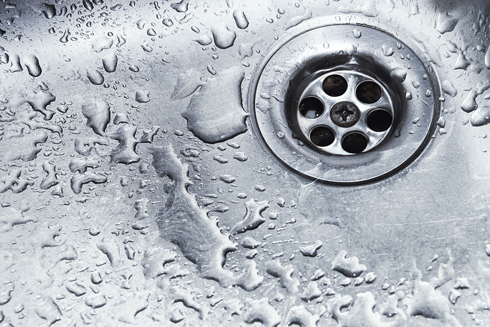 A drain with water around it fresh after a drain cleaning